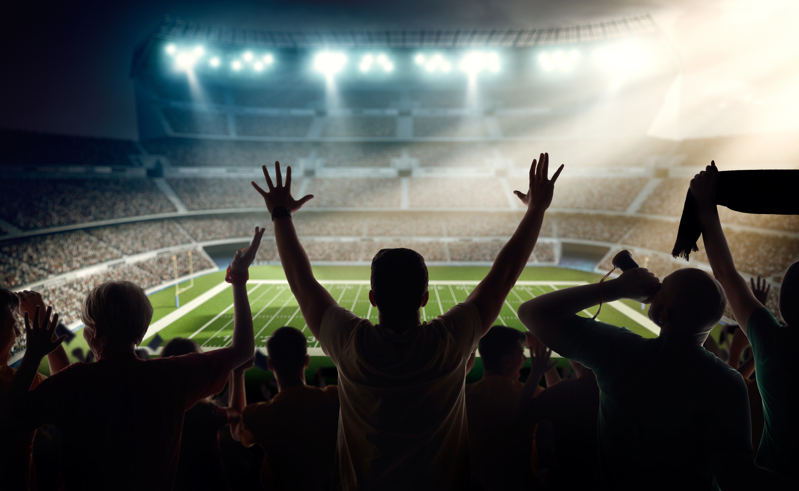 American football fans at stadium